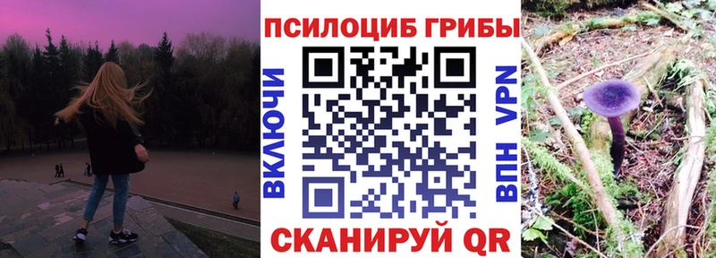 Псилоцибиновые грибы Cubensis  магазин    Анива 